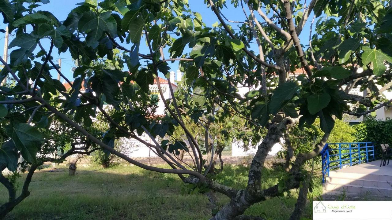 Casa D'Avo Daire Altura Dış mekan fotoğraf